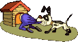 cane padrone cuccia.gif